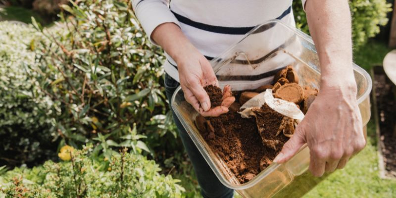 How to reuse coffee grounds